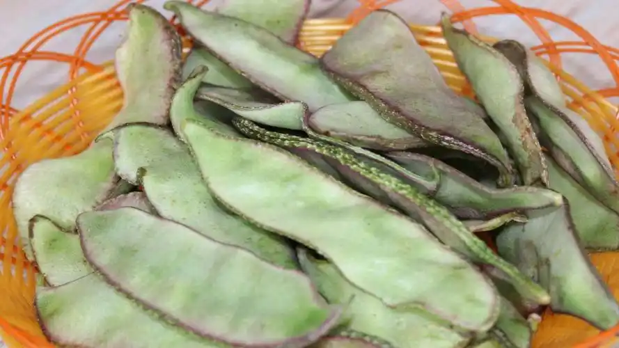 扁豆这么做,清脆爽口,开胃好吃