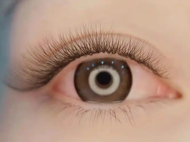 睫毛精品三叶草