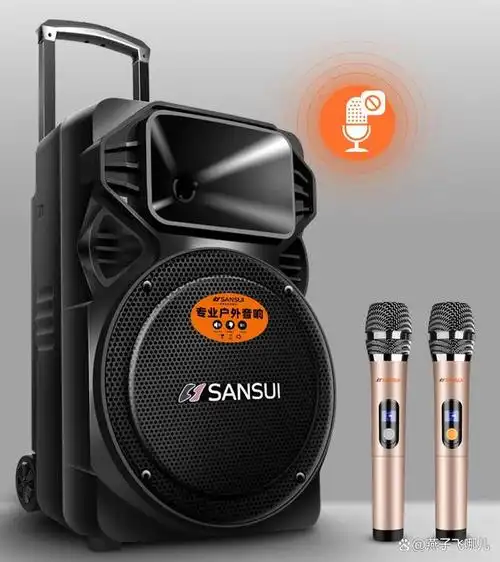 山水广场舞音响a12-66怎么样?600w峰值音量,穿透力强劲