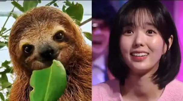 韩国小品《美丽的逆贼》爆红,又是颜值即正义,谁来汉化?