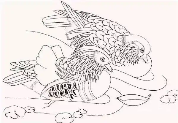 工笔画鸳鸯画法,一学就会!_手机搜狐网
