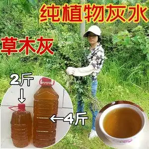 草木灰水碱水植物碱水乡下灰水包灰水粽食用碱水无添加2斤包邮