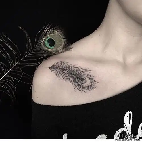 锁骨黑灰孔雀羽毛纹身图案