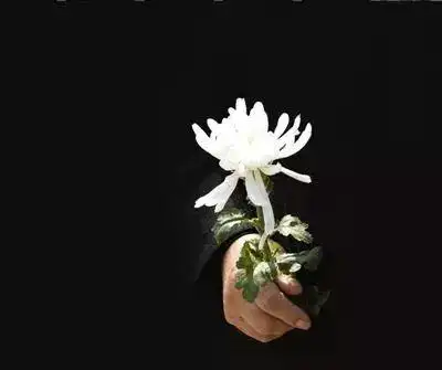 我们从未忘记,81年前那段黑暗