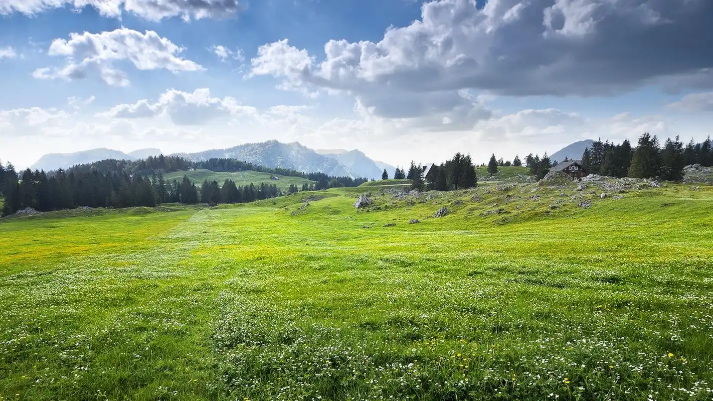 精选大自然美丽风景绿色护眼经典图片桌面壁纸下载