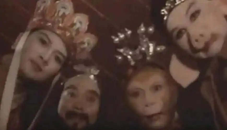 你醒了起来上网课了