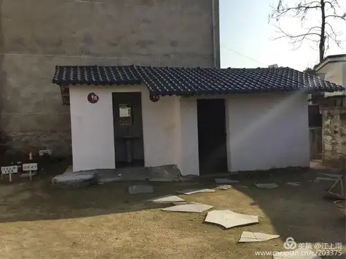 傅家湾的厕所革命(工作总结)