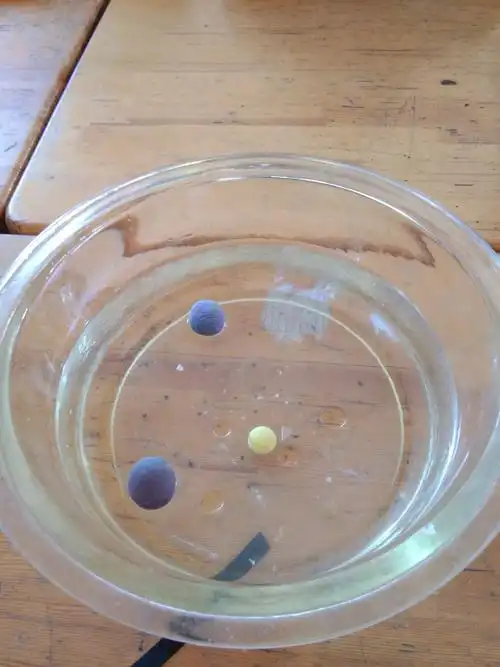 寇家幼儿园大班科学小实验