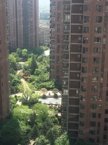 天地源枫林意树