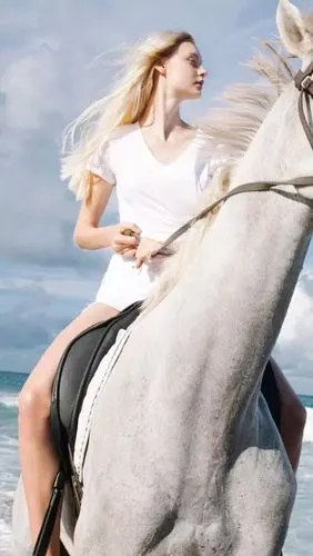 欧美风手机壁纸大图_女生qq皮肤_窝窝qq网