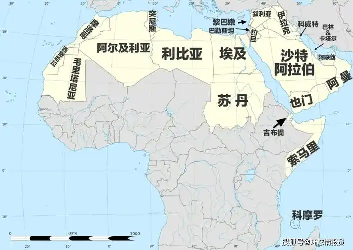 阿拉伯世界共有22国,谁有资格成为阿拉伯的"老大哥"?_帝国_国家_世纪