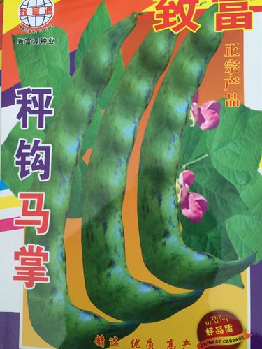 秤钩马掌种子东北油豆角种籽大马掌宽油豆绿豆角开锅烂蔬菜种孑
