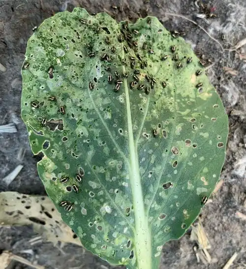 拓展经作,广州第三站—乌溪站 - 美篇