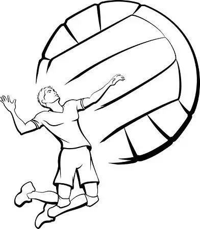 排球手