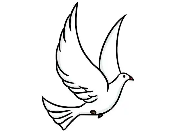 白鸽简笔画三步完成