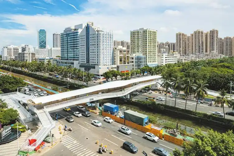 海口日报数字报·海口网