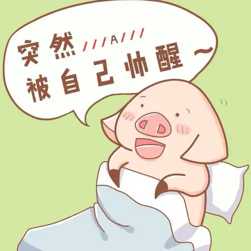 搞笑帅早安猪   免费