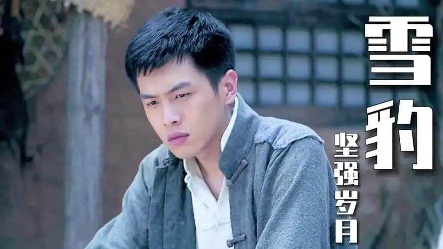 雪豹坚强岁月张仁杰被带来见继先可继先理都不想理他们
