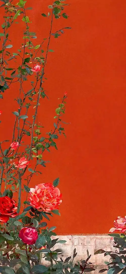 是好看的红色系壁纸啊