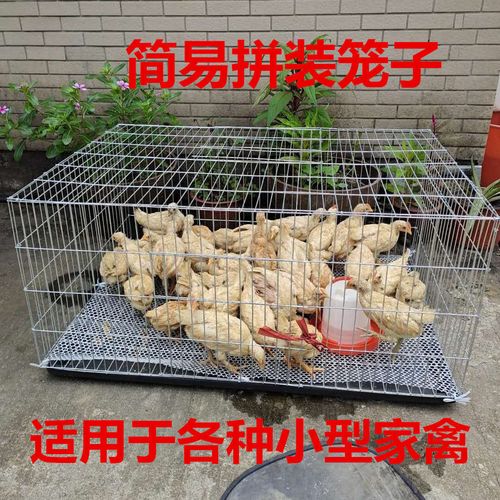 大号家用兔子笼小鸡鹌鹑笼鸽子笼特大号鸡笼子繁殖镀锌网片锌铁笼