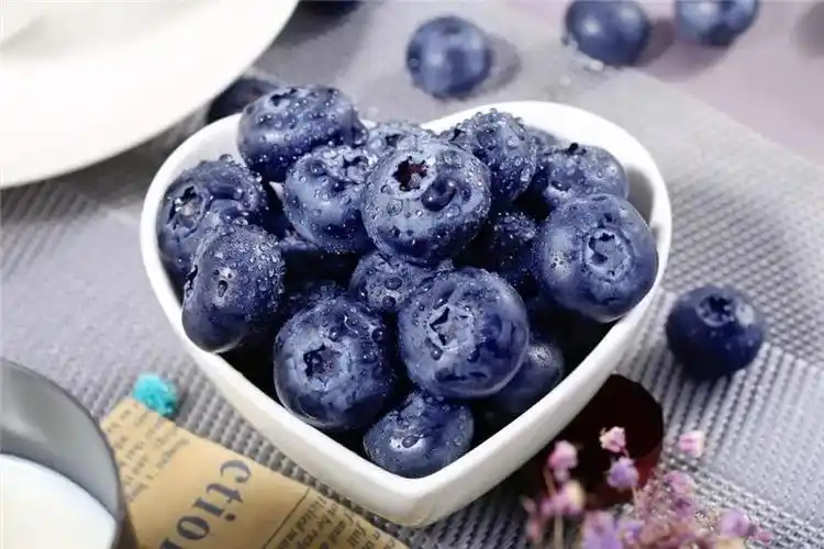 蓝莓粉原料不添加防腐剂素汇水溶蓝莓粉原料不添加色素