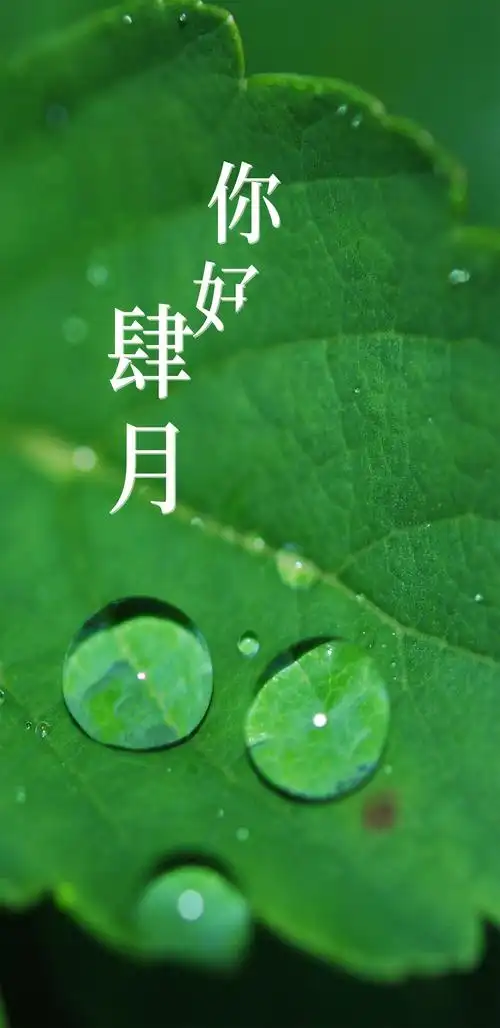 春意盎然你好四月手机锁屏壁纸