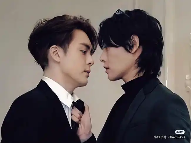 有磕宇日俱曾这对cp的吗