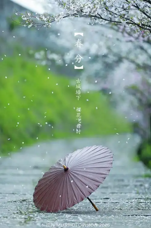 《春天花事》第四季#四季# #寻根文化太美# … - 堆糖,美图壁纸兴趣