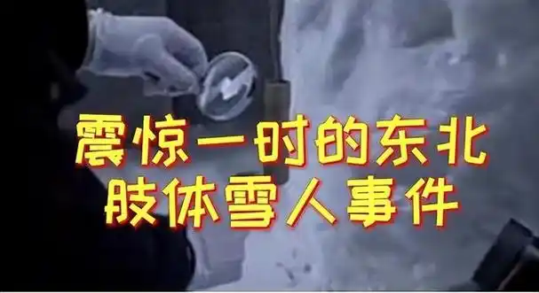 2008年东北肢体雪人案:四具女性尸体被拼接成雪人,惨案至今未破