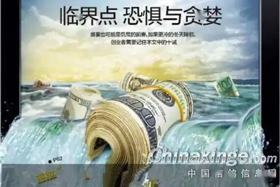 赛鸽新时代的贪婪与恐惧_运动