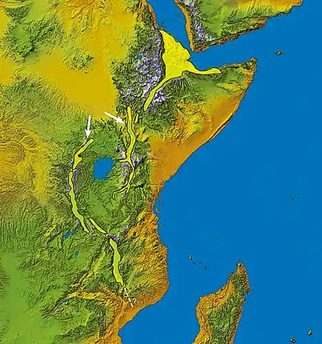 东非大裂谷还有一些地质学家认为,在非洲-阿拉伯半岛板块之下曾经存在