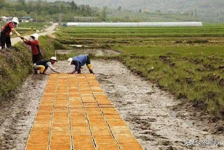 亩和公顷的换算怎么计算亩的面积最简单方法