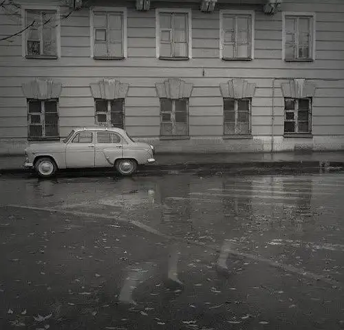 灰色调的向日葵