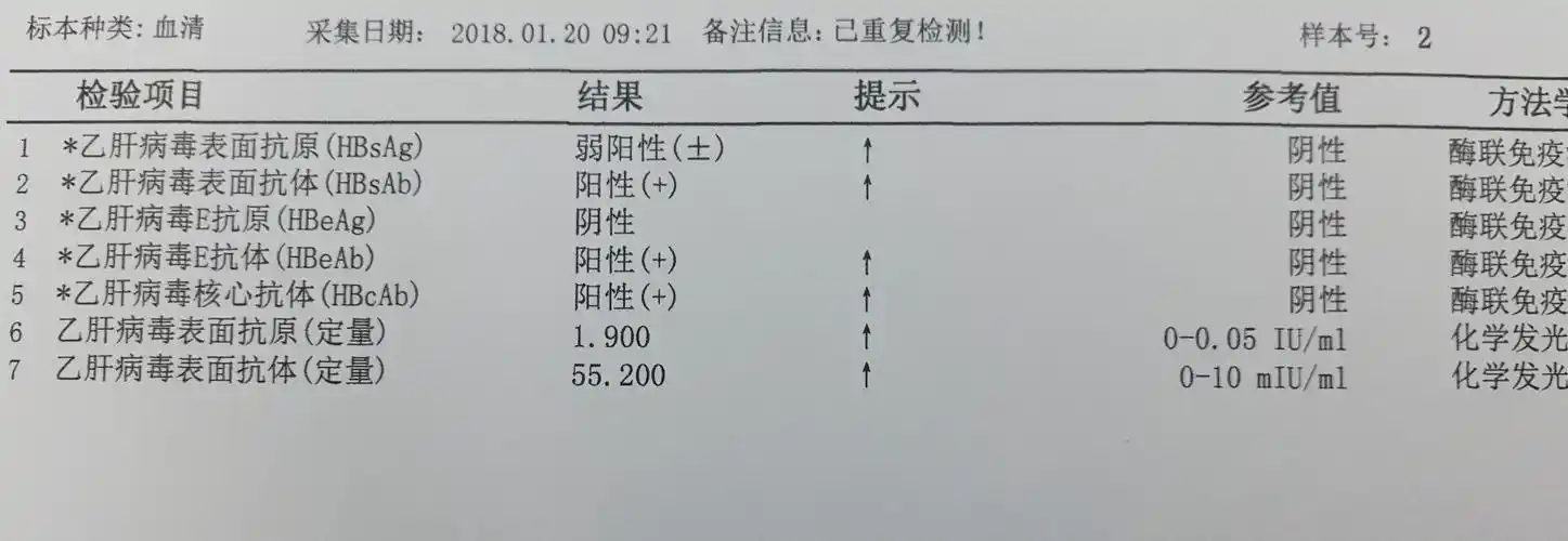 乙肝两对半检查结果鉴定