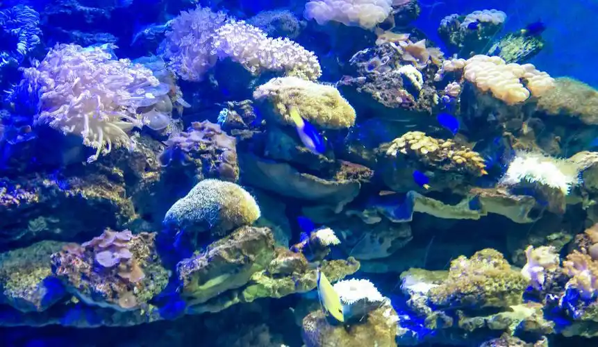 西安曲江海洋馆