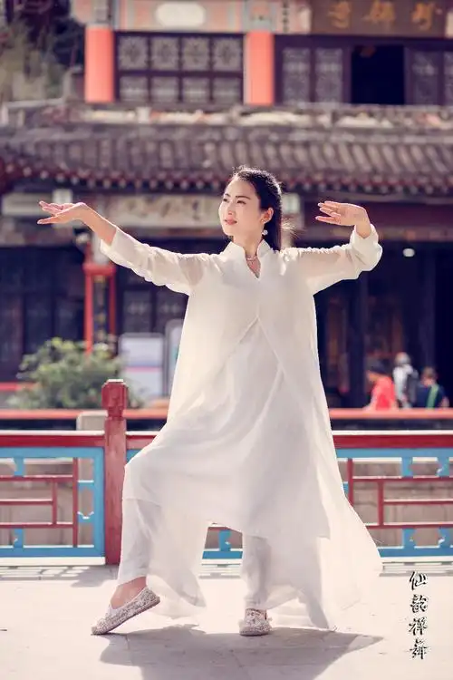 禅舞是禅学文化,舞蹈艺术,以及道家内丹功法的一种养生功法.