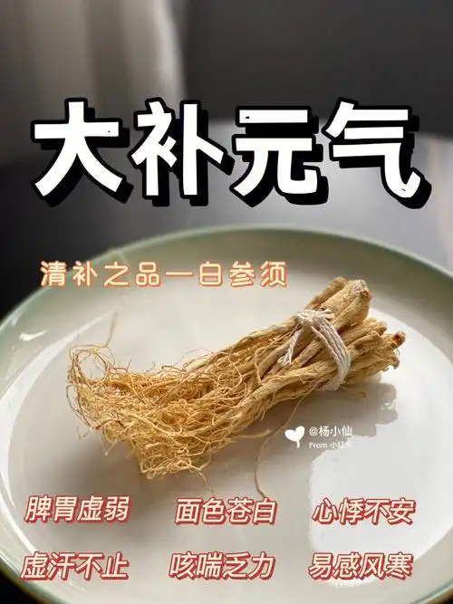 白参须大补元气改善体虚