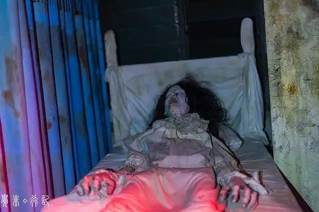 新加坡探秘,白天美食销魂,晚上万鬼惊魂