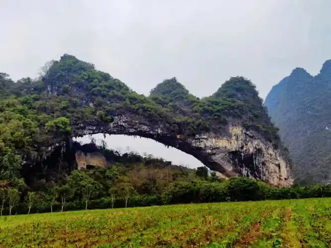 你一句春不晚我就到了平乐月亮山
