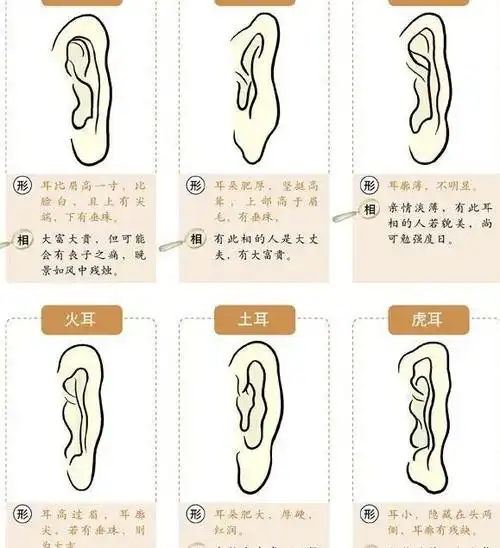 耳朵大的男人的命运耳朵小的男人的命运没有福气