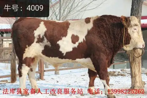 长春新牧有限公司