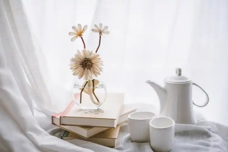 清新女人味,享受纯粹自然的嗅觉体验