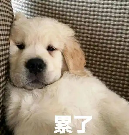 萌宠gif汪星人gif累了gif困了gif搞怪gif逗gif