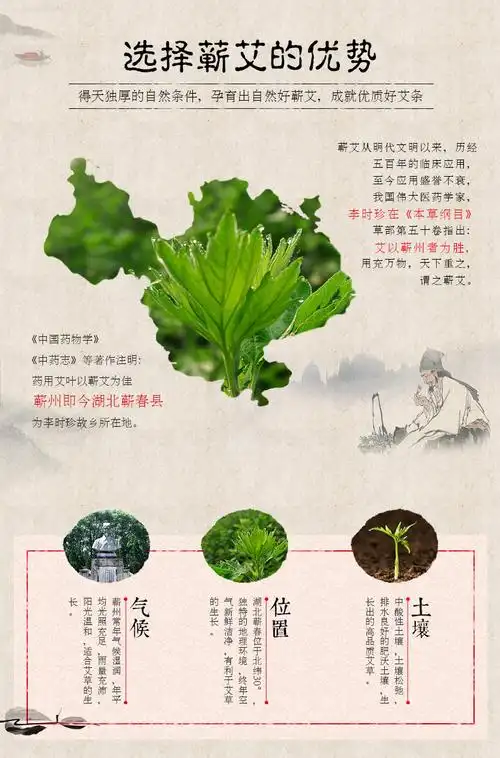 蕲州李氏真艾石臼艾条五年陈艾蕲艾手工美容灸艾条艾灸条盒装批发