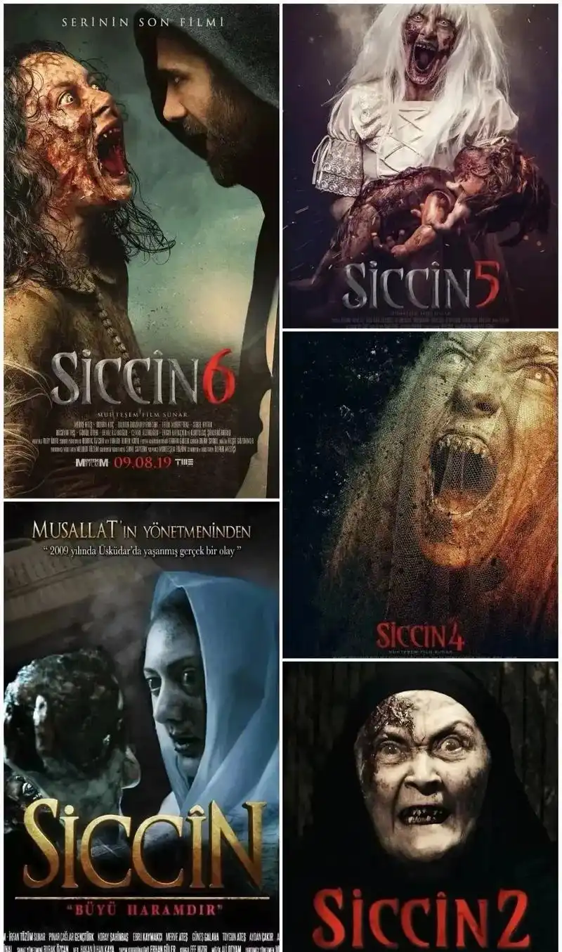 土耳其的一个系列恐怖片《西辛》,目前一共六部.观感上,也不算 - 抖音