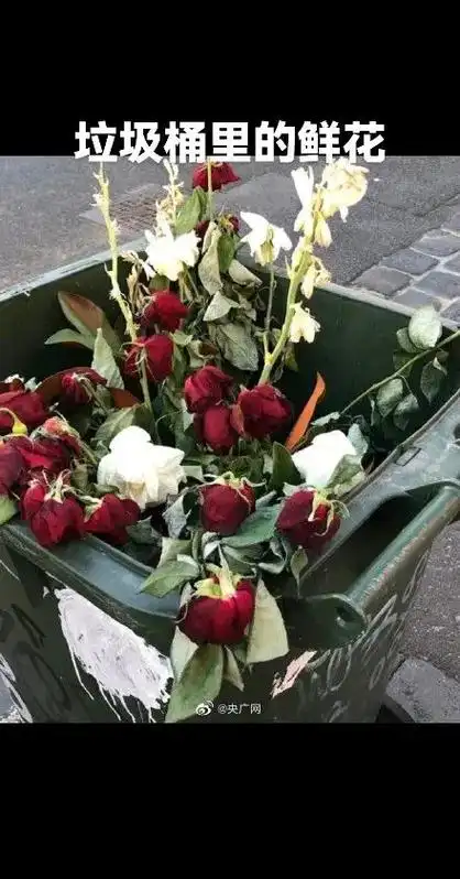 昨天 520,网上说上海街边的很多垃圾桶丢满了鲜花变成了花瓶. 看来