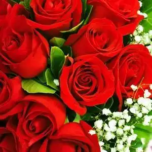 永不凋谢的玫瑰头像