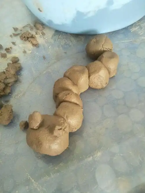 阿拉善左旗温都尔勒图幼儿园集体创意活动"畅玩泥巴——走近我,看我