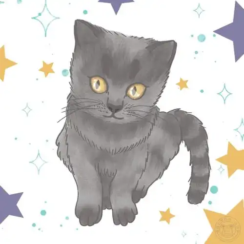 英短蓝猫画师微博:momo的一点日常