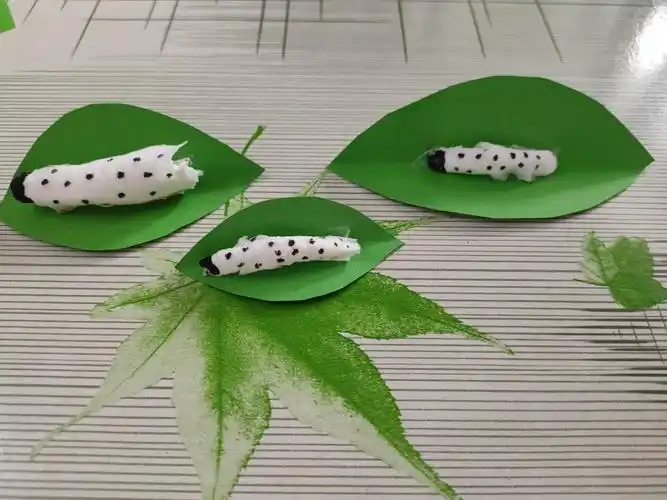 手工制作《可爱的蚕宝宝》